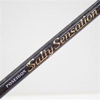 ソルティーセンセーションＰＳＳＳ－６７Ｓ